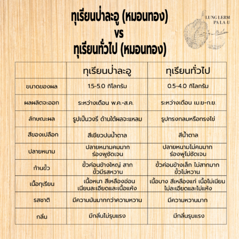 ทุเรียนหมอนทองป่าละอู